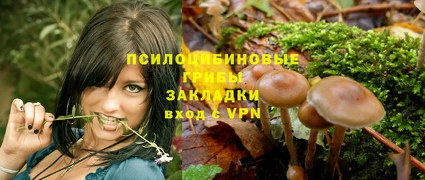 гашик Балабаново
