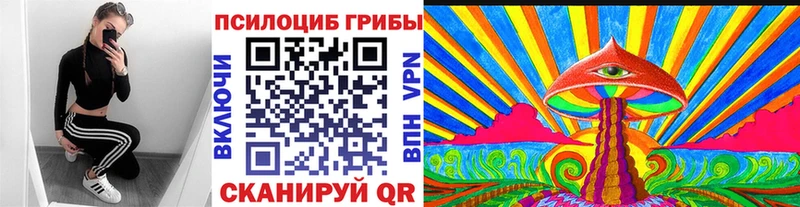 цены наркотик  Кыштым  Галлюциногенные грибы Cubensis 
